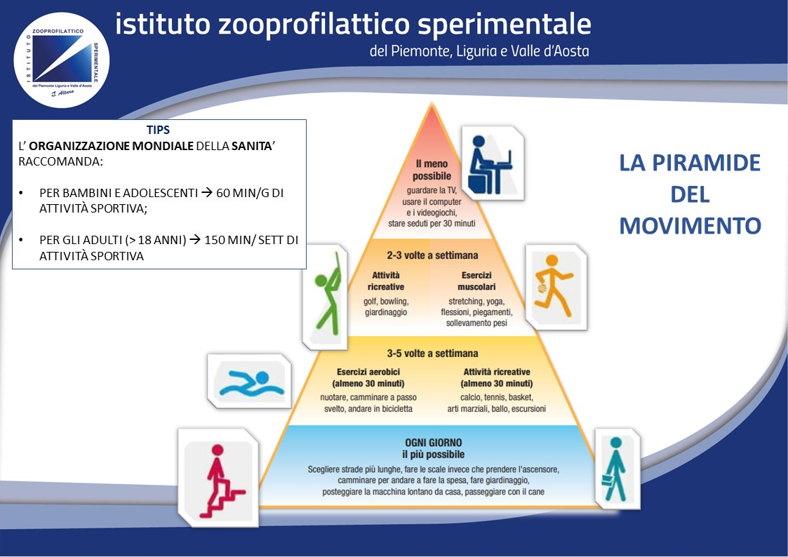 ALIMENTAZIONE SPORTIVA  PRE-POST WORKOUT DEF