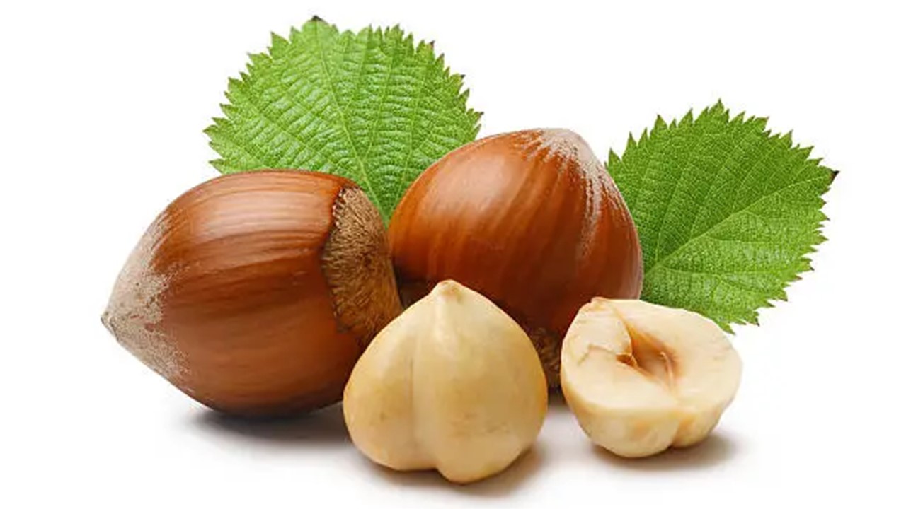 foto nocciola
