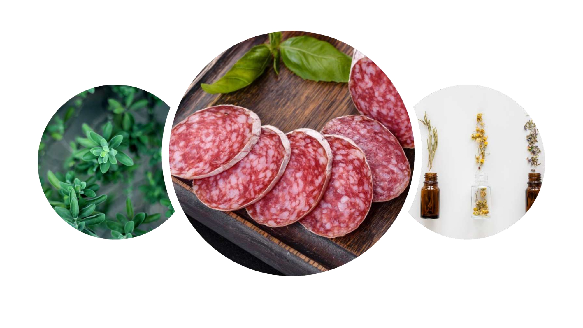 immagine salumi liberi page-0001